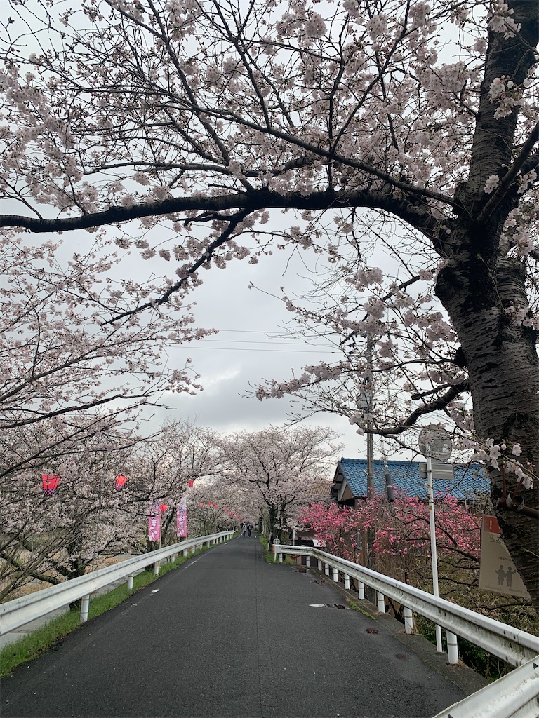 f:id:RE-RE:20230418005758j:image