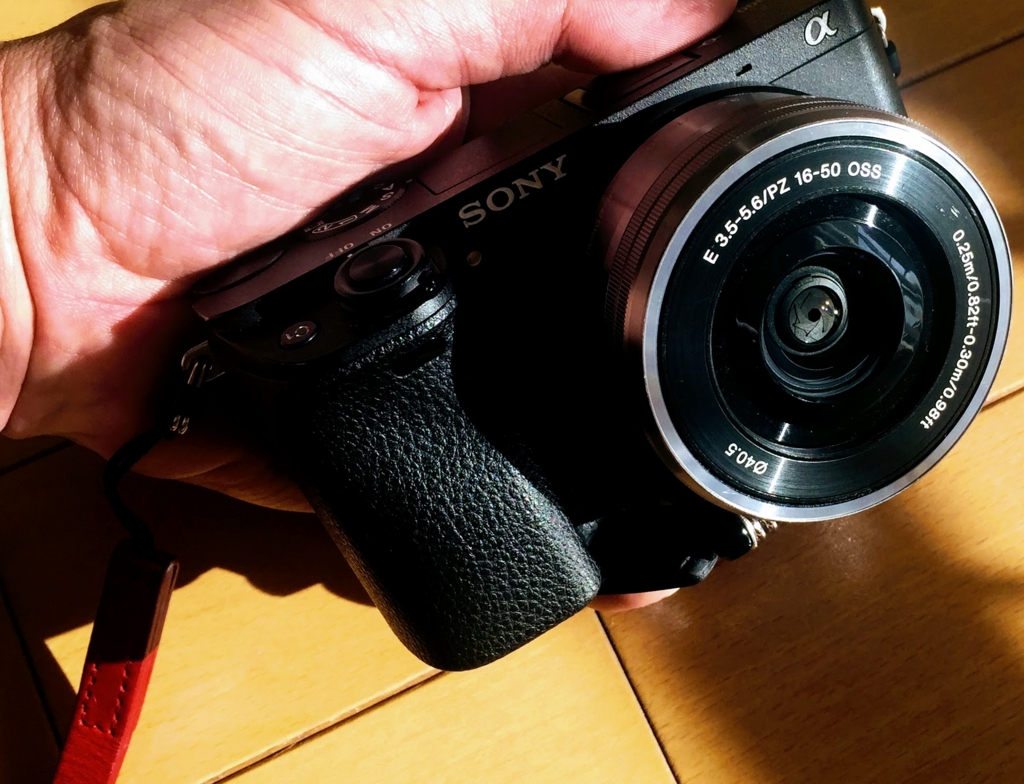 神戸をスナップ( SONY α6300 × SELP1650 ) - Recording