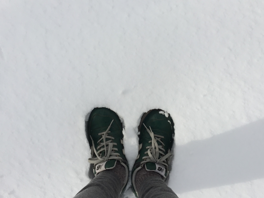 f:id:RECO:20170116152954j:plain