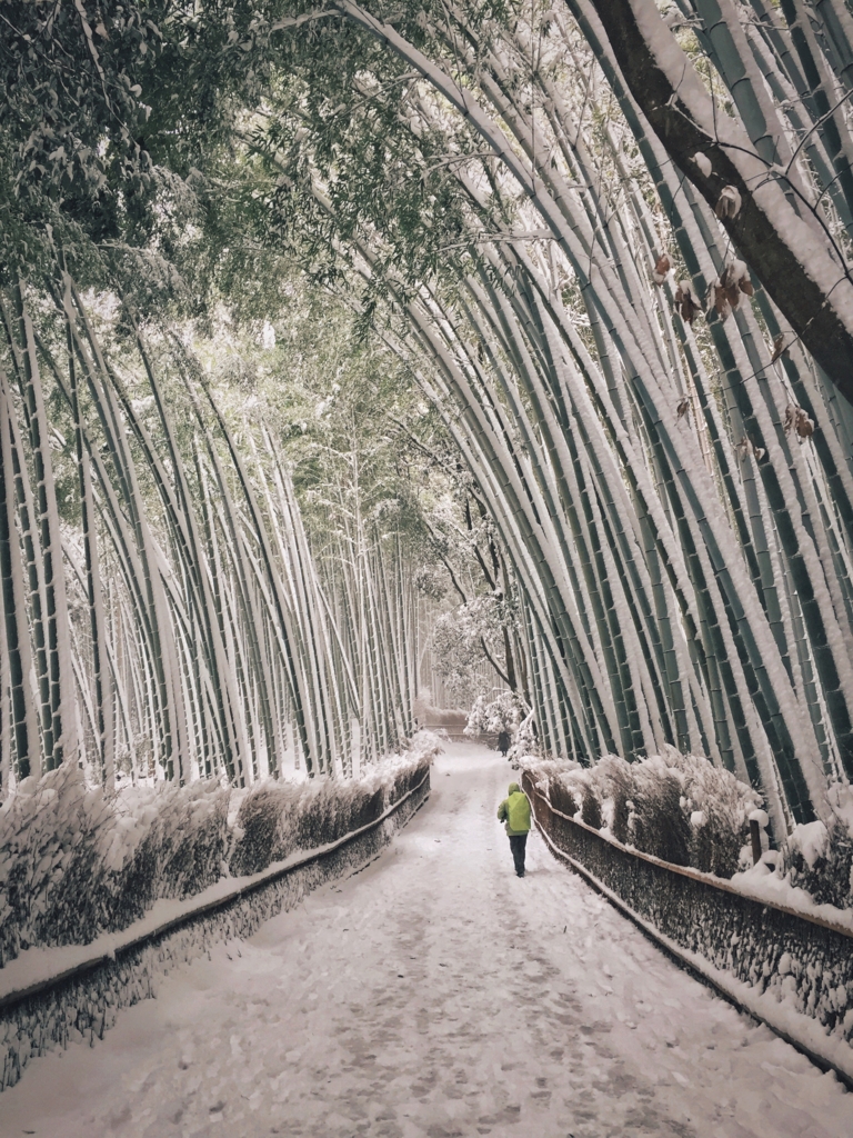 f:id:RECO:20170116153117j:plain