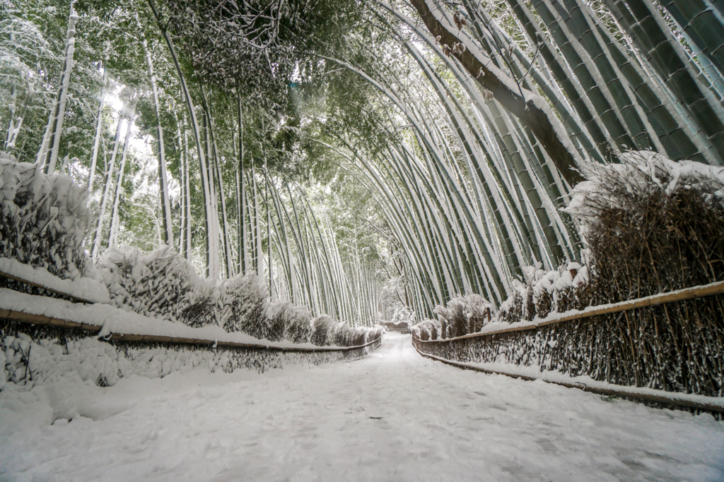 f:id:RECO:20170116153141j:plain