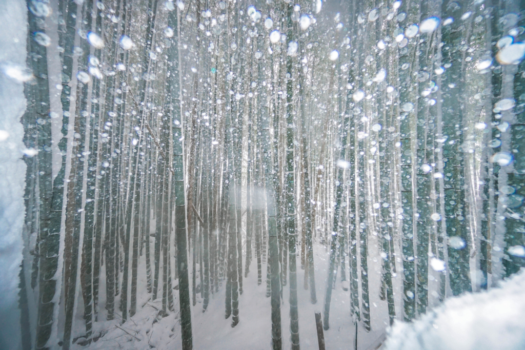 f:id:RECO:20170116153208j:plain