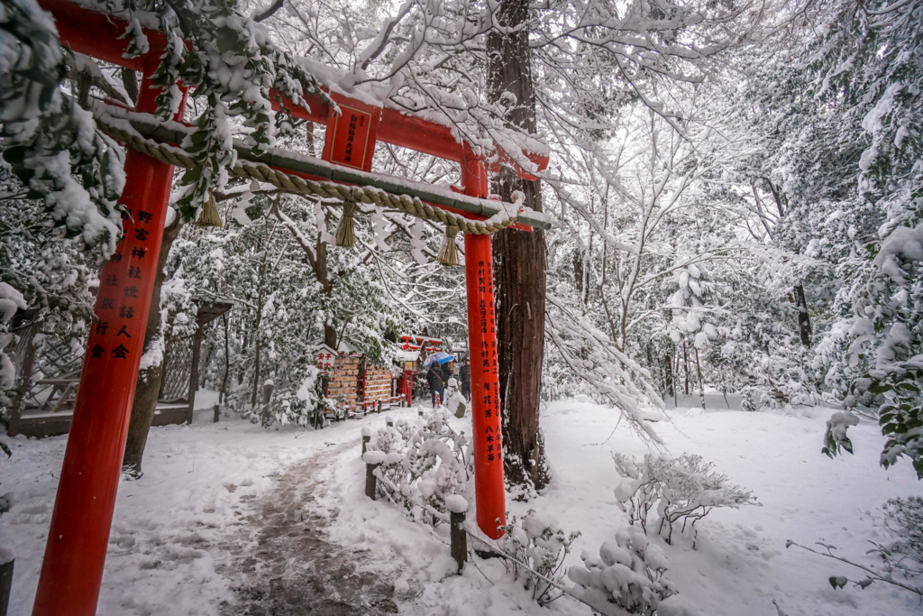 f:id:RECO:20170116153220j:plain