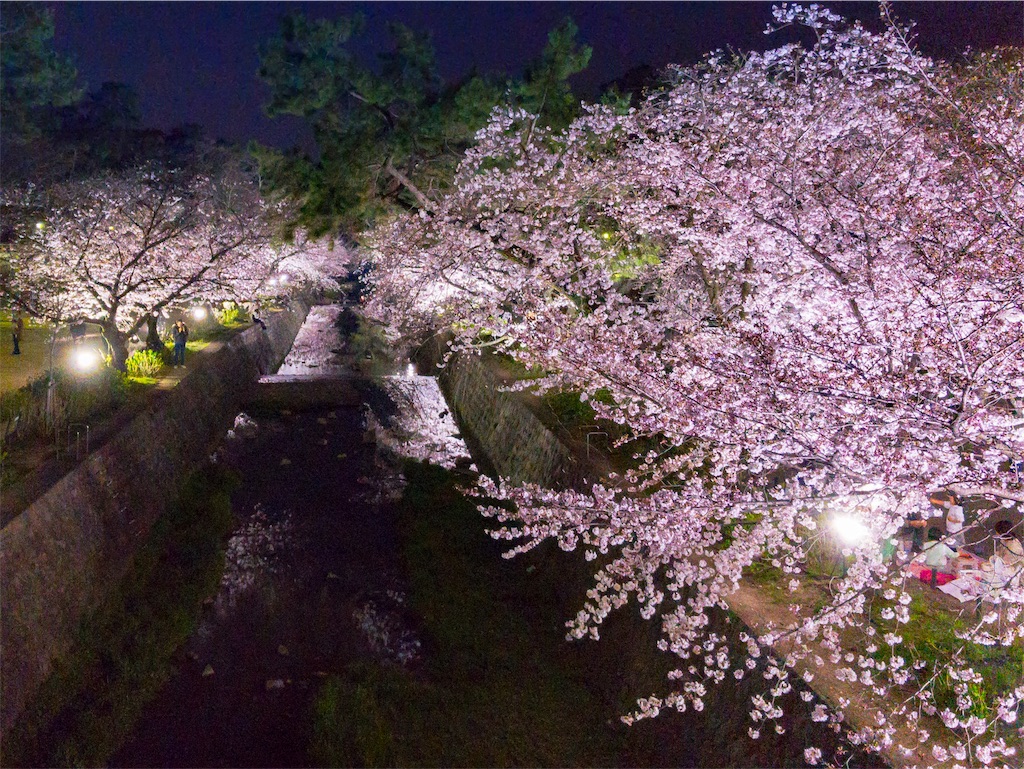 f:id:RECO:20170406162229j:image