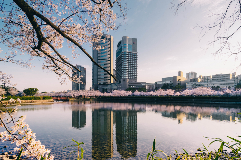 f:id:RECO:20180327224757j:plain