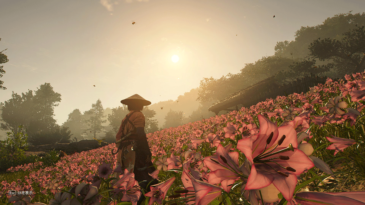 収集物のメモ【ASSASSIN'S CREED SHADOWS】 - RED CLAW's blog