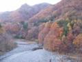 [温泉][2005年11月12日]開運の湯付近の紅葉