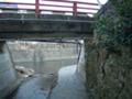 [2006年12月30日][温泉]長湯温泉・がに湯への道3