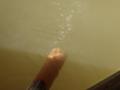 [2006年12月30日][温泉]め組茶屋ソーダの湯・湧出口