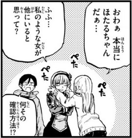 f:id:RF-zwei:20170113003840j:plain