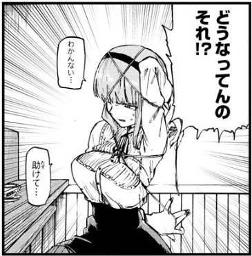 f:id:RF-zwei:20170223005926j:plain f:id:RF-zwei:20170223005926j:plain