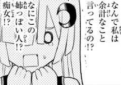 f:id:RF-zwei:20170316222040j:plain