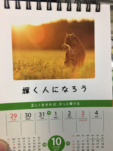 f:id:RF-zwei:20171030214459j:plain f:id:RF-zwei:20171030214459j:plain