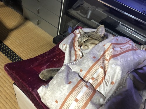 f:id:RF-zwei:20191027205329j:plain f:id:RF-zwei:20191027205329j:plain