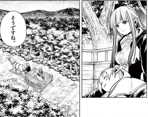 葬送のフリーレン 刮目せよッ 元勇者パーティーの魔法使いの強さを という単行本第2巻購入報告 Risingforce Zwei 葬送のフリーレン 刮目せよッ 元勇者パーティーの魔法使いの強さを という単行本第2巻購入報告 Risingforce Zwei