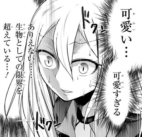 f:id:RF-zwei:20210201155544j:plain