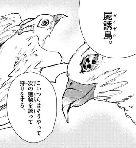 f:id:RF-zwei:20210304204311j:plain