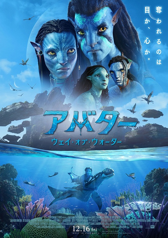 f:id:RH6754:20221223025410j:image
