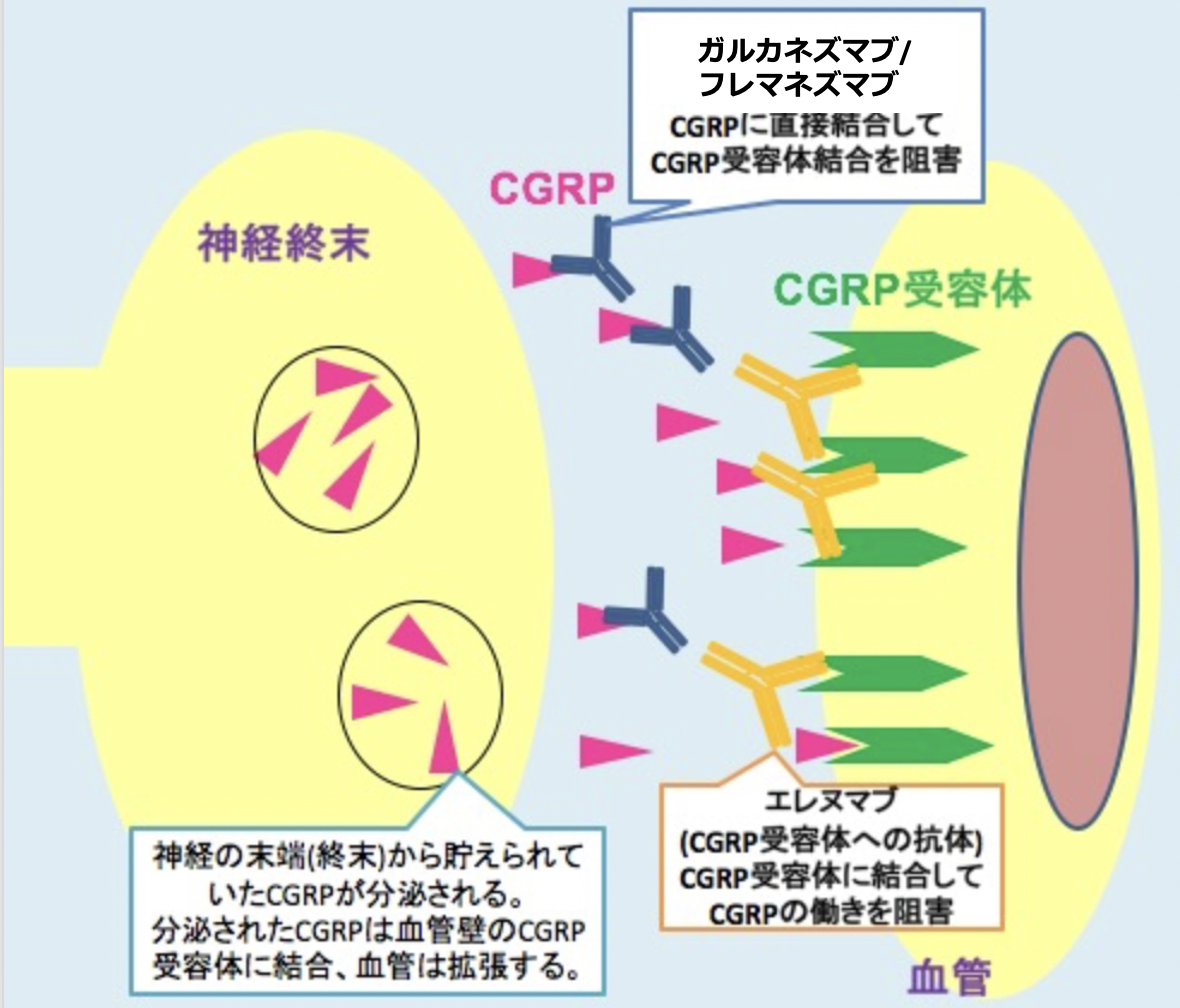 f:id:RIDC_JP:20210321214311p:plain:w300