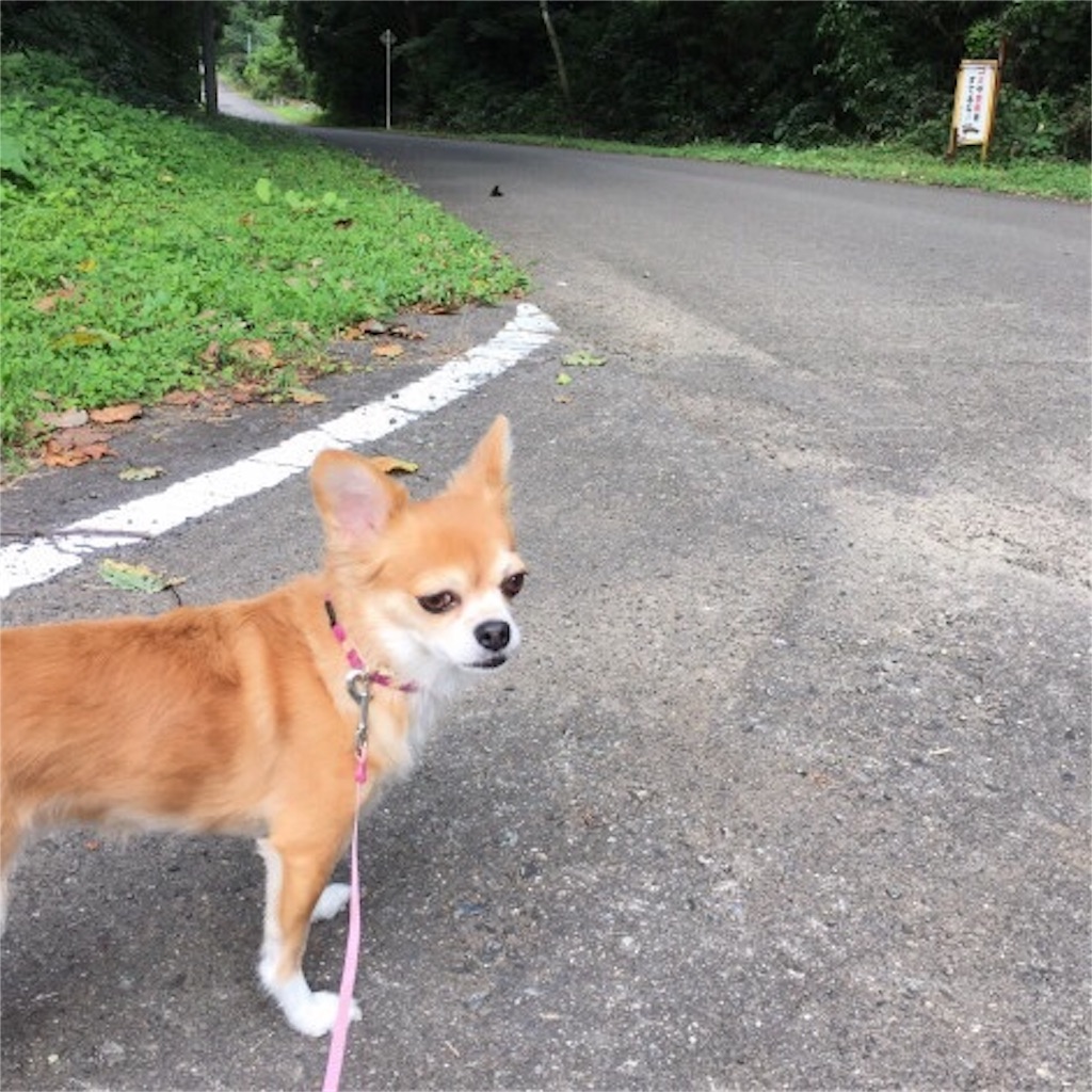 f:id:RIKA-T:20180819100733j:image