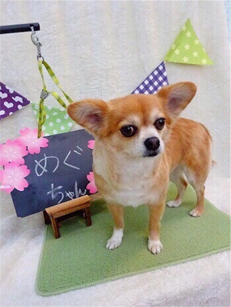 f:id:RIKA-T:20180819131045j:image