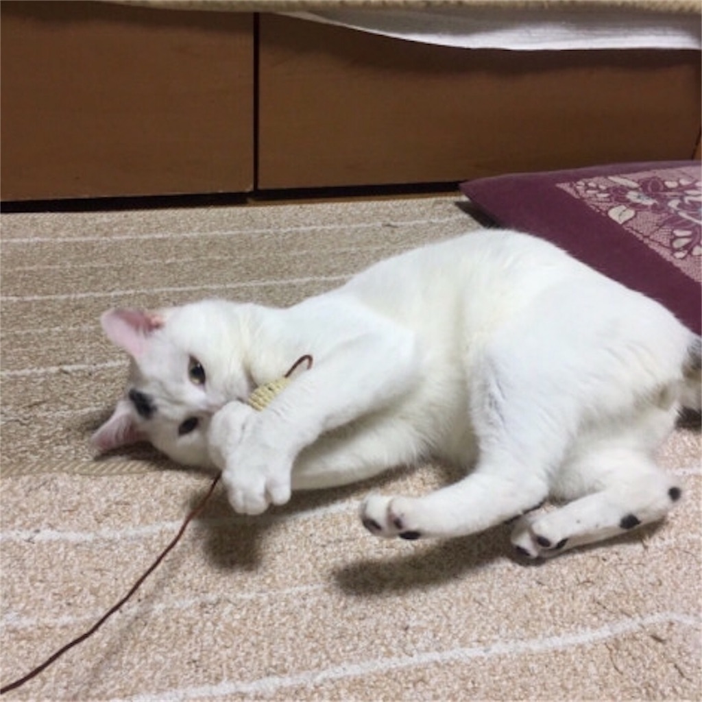 f:id:RIKA-T:20180820134125j:image