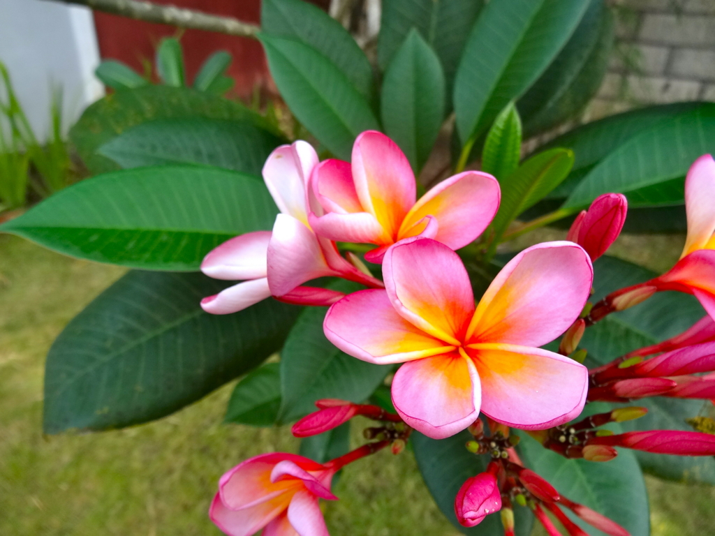 f:id:RILY:20130912121906j:plain f:id:RILY:20130912121906j:plain