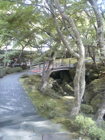 f:id:RIMO:20071109231822j:image