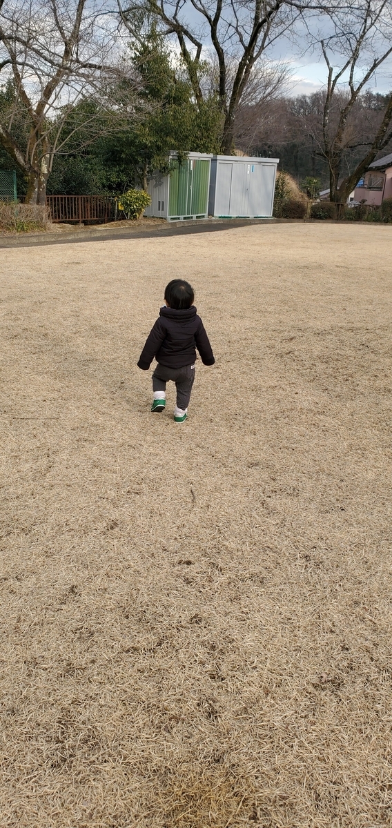 f:id:RISUI:20220204221020j:plain