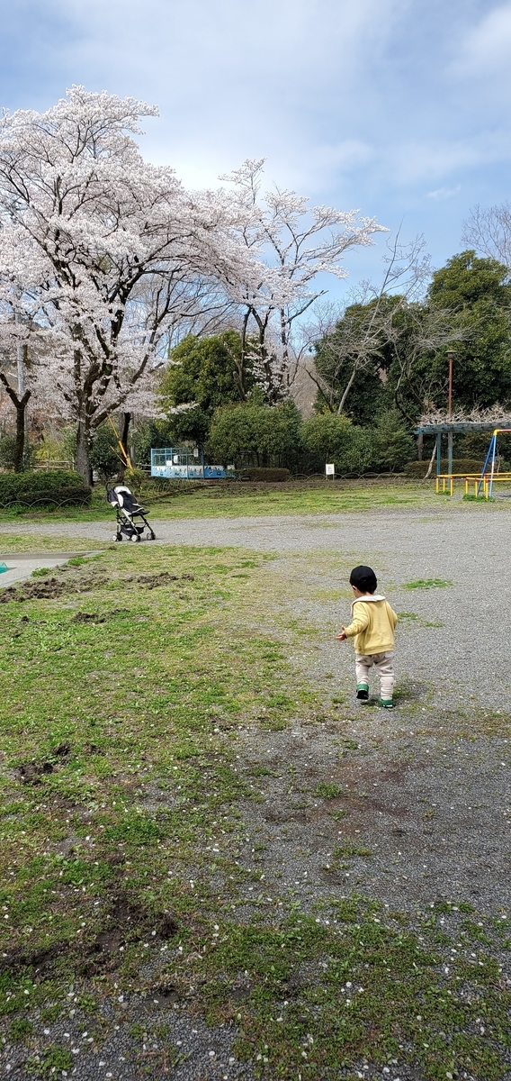 f:id:RISUI:20220405144410j:plain