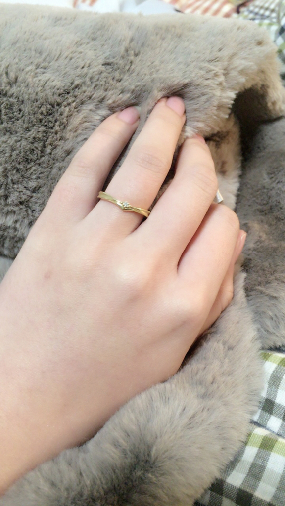 f:id:RN_Ginger:20171208184215j:plain