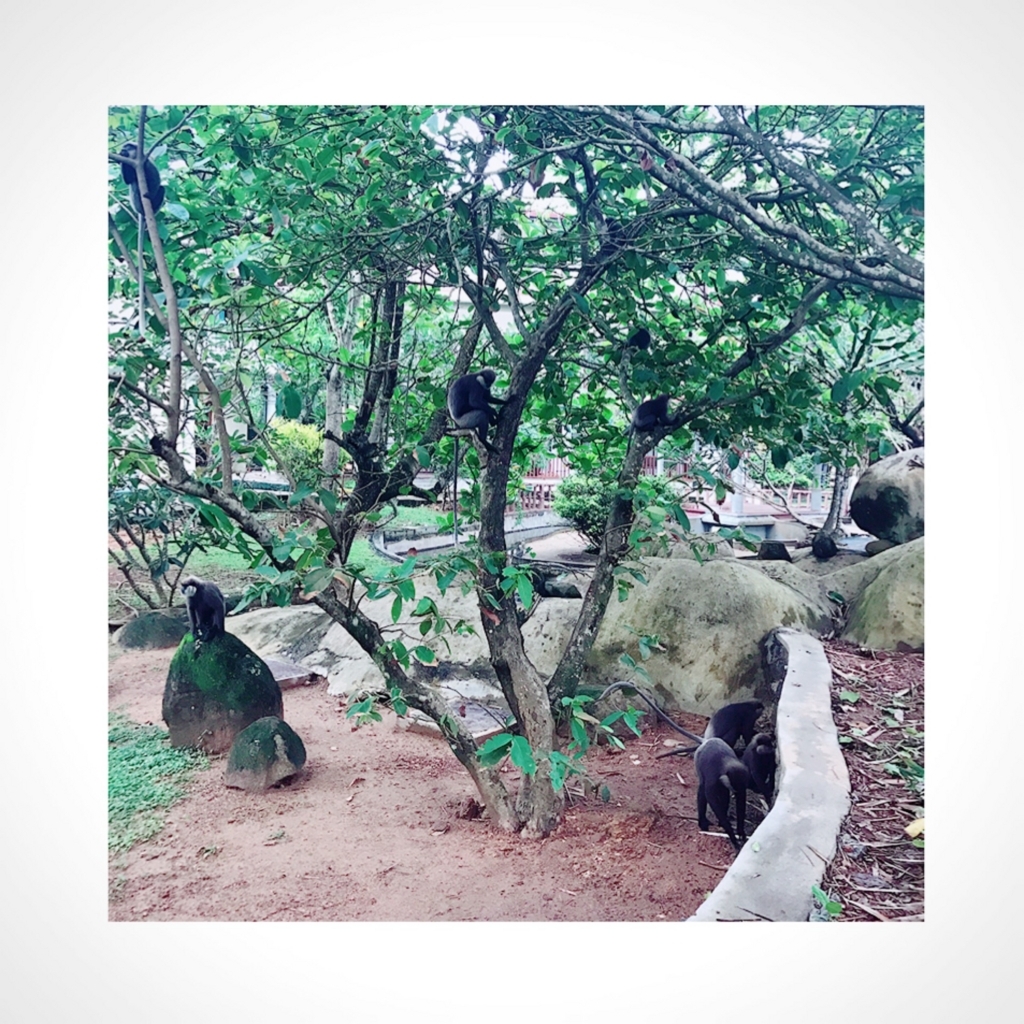 f:id:ROKIT:20170927164545j:plain