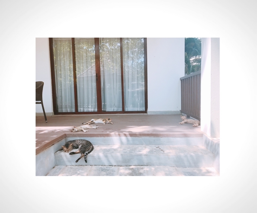 f:id:ROKIT:20171001222204j:plain