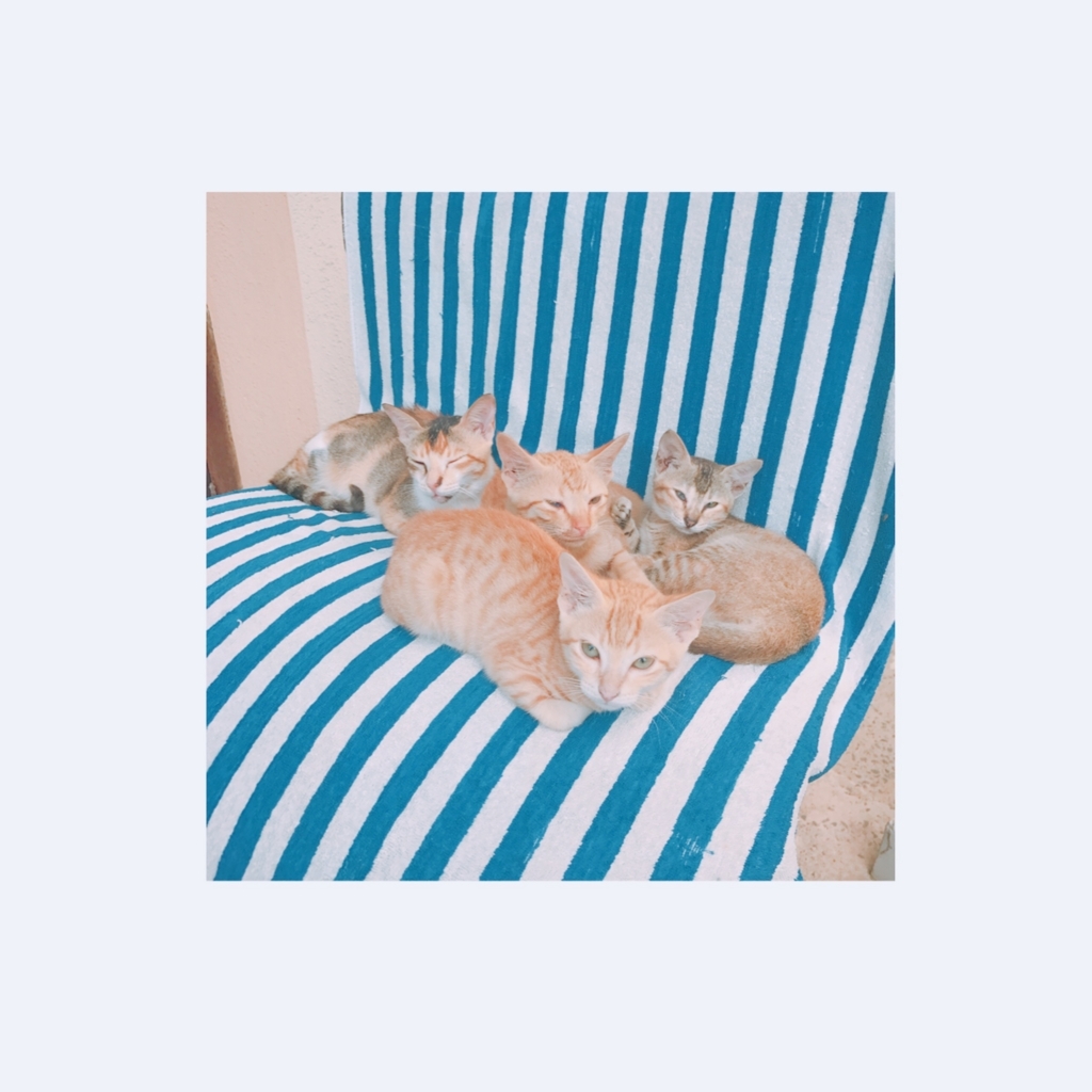 f:id:ROKIT:20171002014312j:plain
