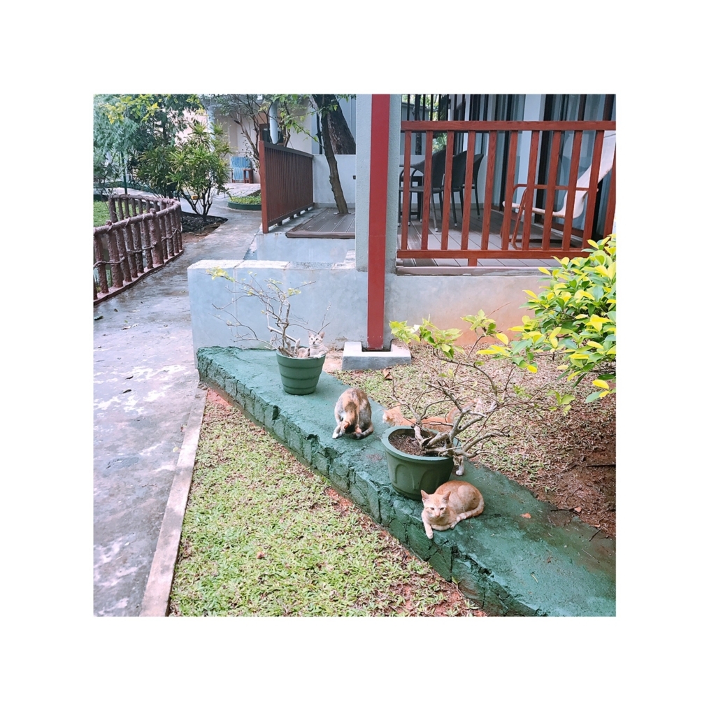f:id:ROKIT:20171002020238j:plain