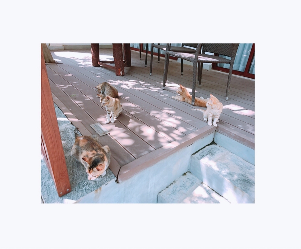 f:id:ROKIT:20171002034302j:plain