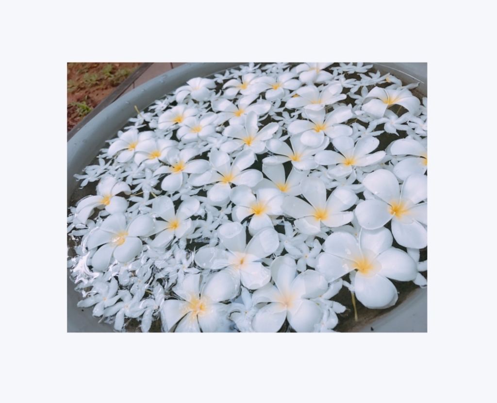 f:id:ROKIT:20171002035331j:plain