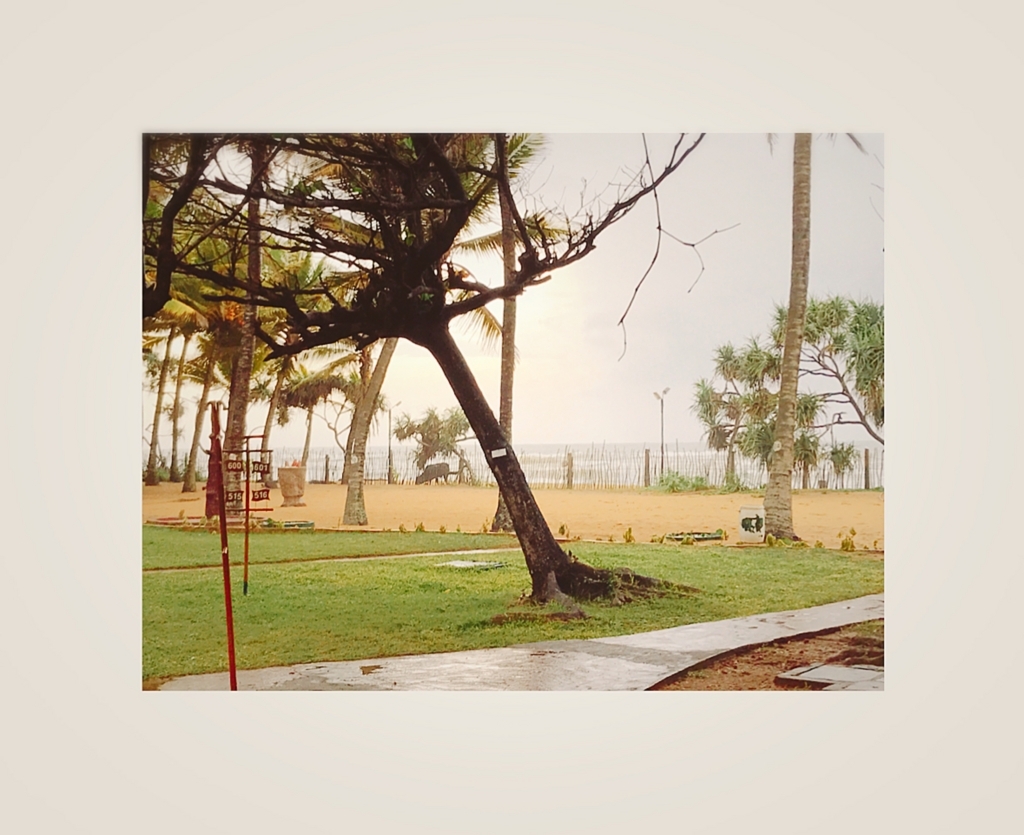 f:id:ROKIT:20171220205145j:plain
