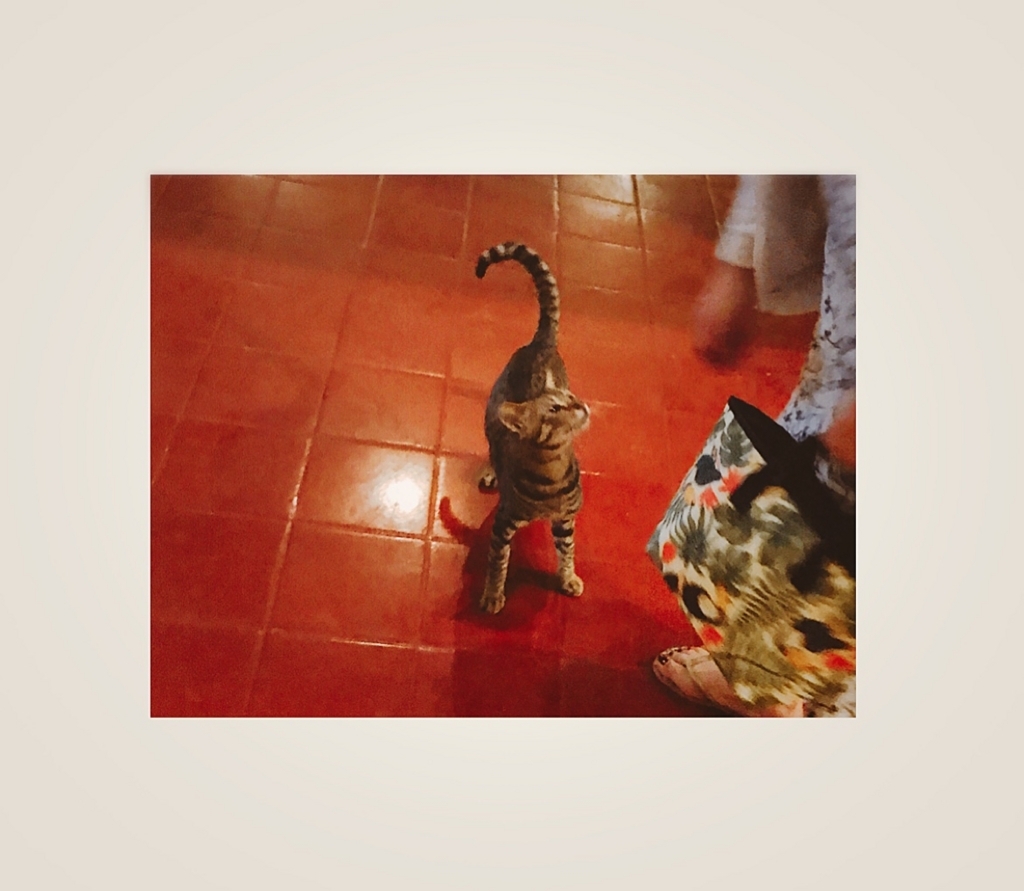 f:id:ROKIT:20171220205211j:plain