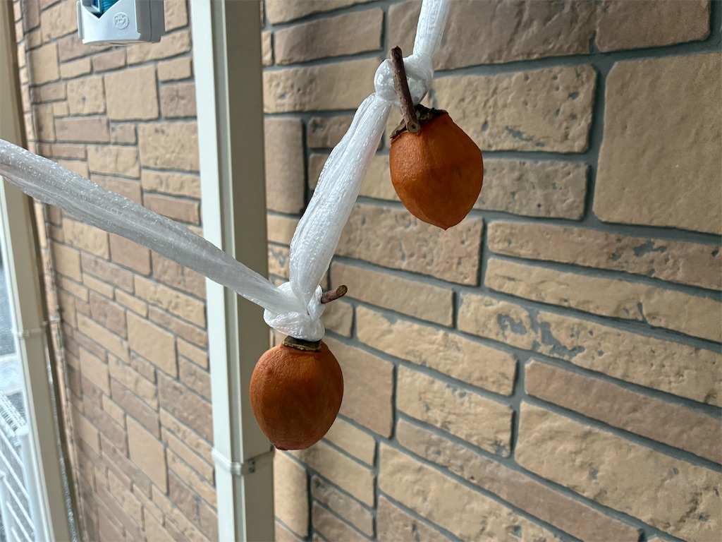 f:id:ROKU02:20251105193950j:image