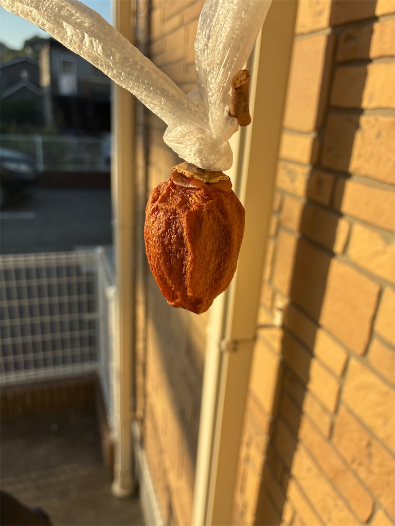 f:id:ROKU02:20251108075207j:image