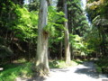 20100602112514
