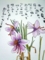 20120311164915