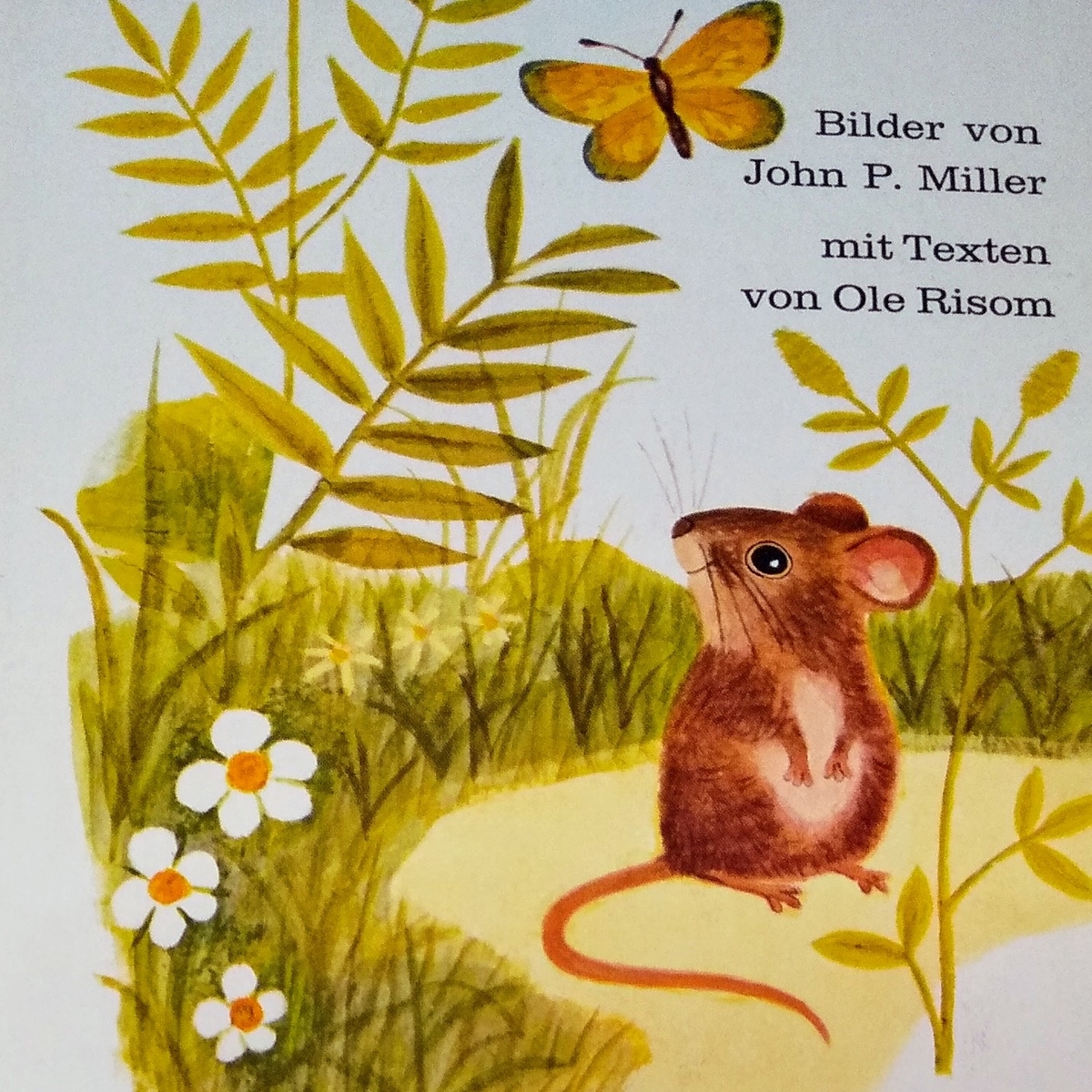 ヴィンテージ絵本 Ich bin Diekleine MAUS - Secret GardenⅡ