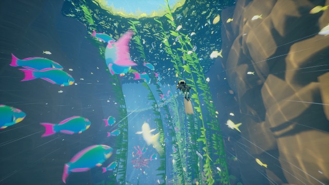 f:id:ROTY_NORISU:20210201211256j:image