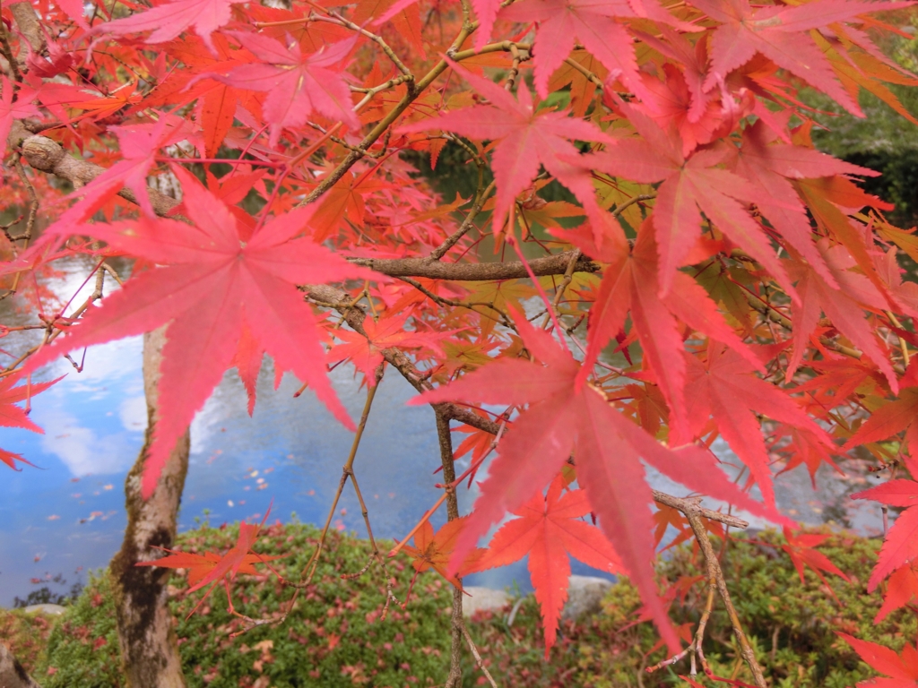 f:id:ROUTE53:20151125074350j:plain