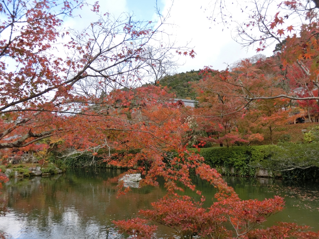 f:id:ROUTE53:20151125074454j:plain