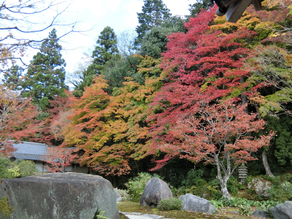 f:id:ROUTE53:20151125081254j:plain