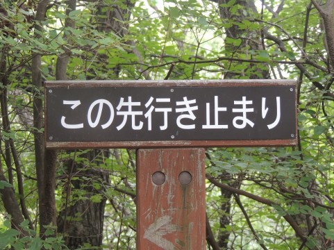 f:id:ROUTE53:20151218045221j:plain f:id:ROUTE53:20151218045221j:plain