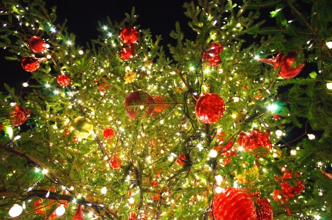 f:id:ROUTE53:20151218053303j:plain f:id:ROUTE53:20151218053303j:plain